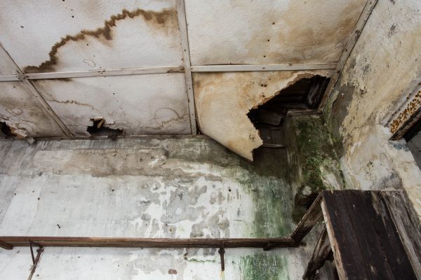 Water Damage Service in Windsor