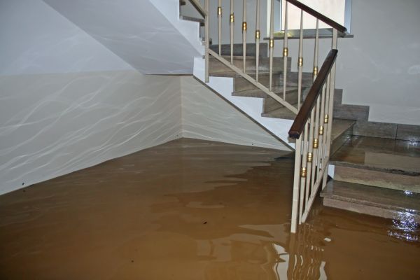 Storm Damage Restoration in Windsor