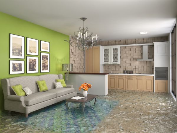 Wet Carpet Drying in Windsor