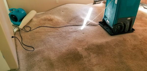 Flood Damage Cleanup in Windsor