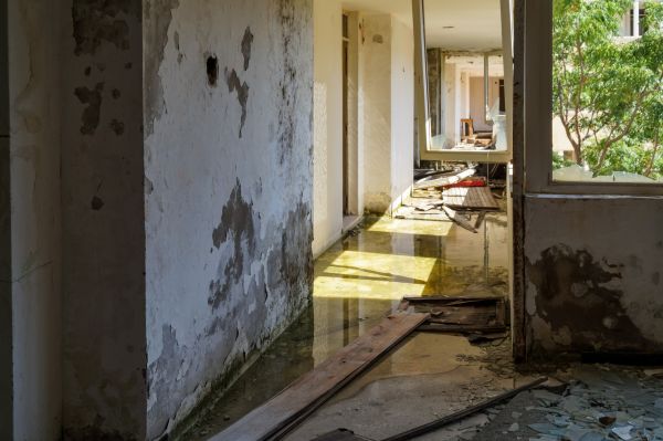 Water Removal Service in Windsor