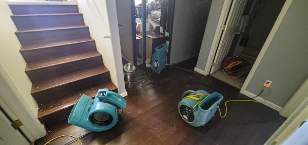 Water Damage Remediation in Windsor