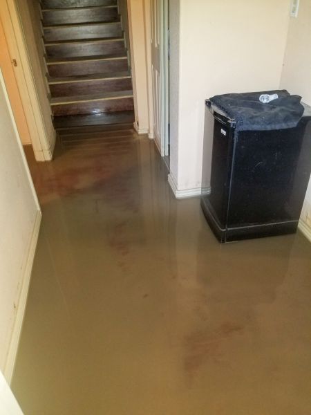 Emergency Water Removal in Windsor