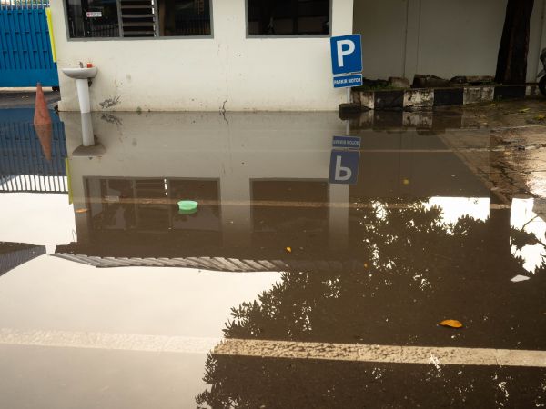Storm Damage Repair in Windsor